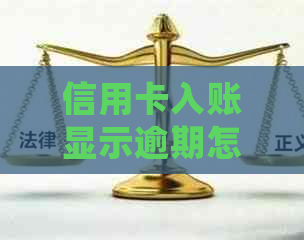 信用卡入账显示逾期怎么办：还款处理指南与解决策略