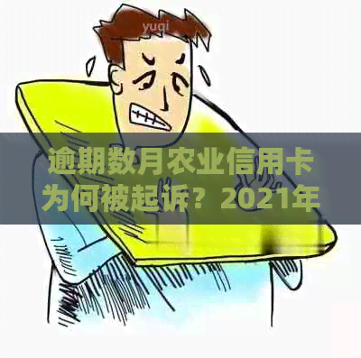 逾期数月农业信用卡为何被起诉？2021年新法规解析及农行案例分析