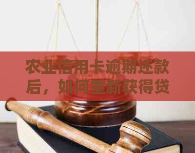 农业信用卡逾期还款后，如何重新获得贷款资格以及可行解决方案