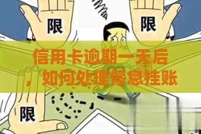 信用卡逾期一天后，如何处理停息挂账问题以避免进一步影响信用？