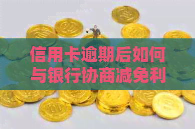 信用卡逾期后如何与银行协商减免利息？了解详细步骤和注意事项