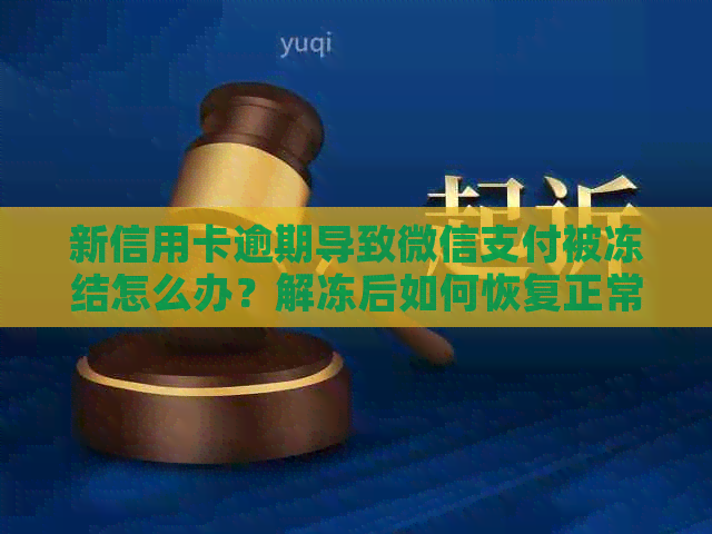 新信用卡逾期导致微信支付被冻结怎么办？解冻后如何恢复正常使用？