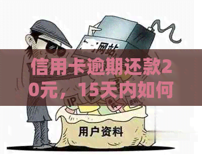 信用卡逾期还款20元，15天内如何解决？了解详细处理步骤和影响！