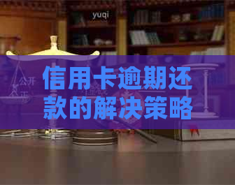 信用卡逾期还款的解决策略与建议：交通银行用户指南