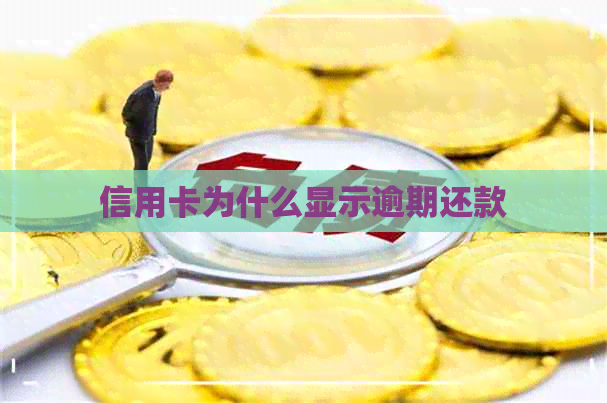 信用卡为什么显示逾期还款