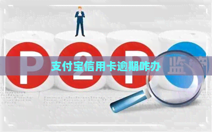 支付宝信用卡逾期咋办