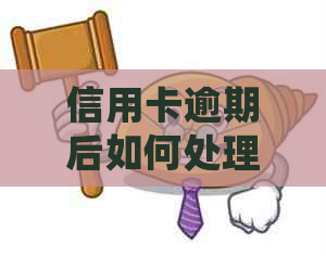 信用卡逾期后如何处理贷款和购房问题？这里有全面解决方案！