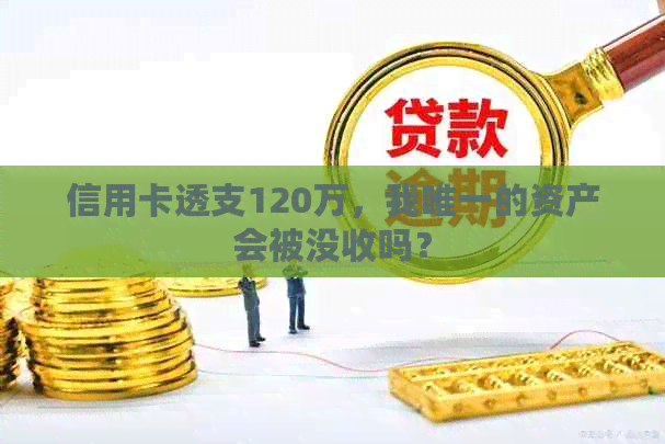 信用卡透支120万，我唯一的资产会被没收吗？