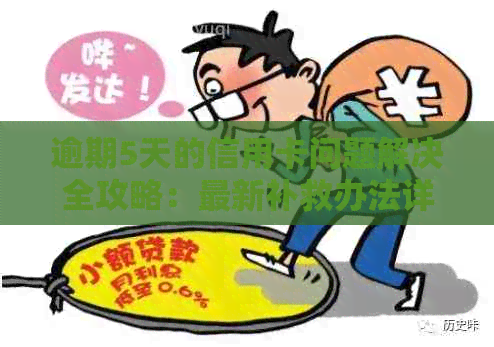 逾期5天的信用卡问题解决全攻略：最新补救办法详解