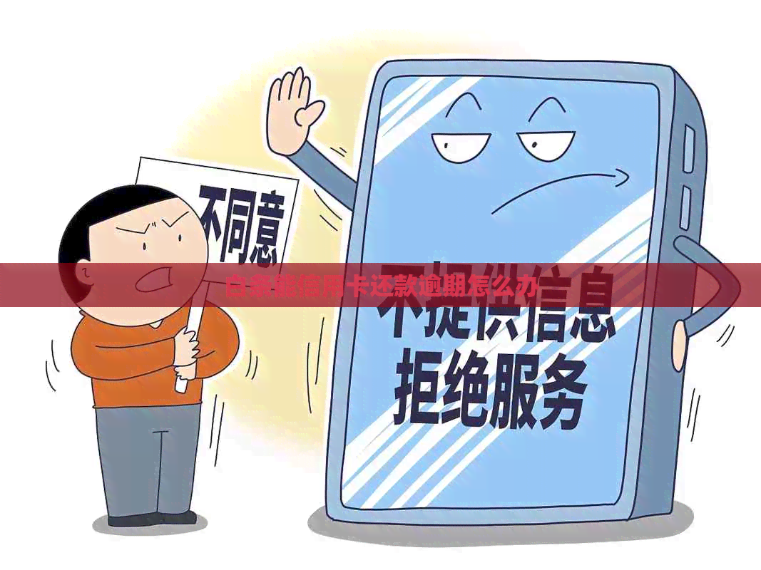 白条能信用卡还款逾期怎么办