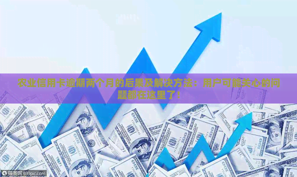 农业信用卡逾期两个月的后果及解决方法：用户可能关心的问题都在这里了！