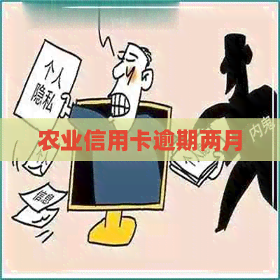 农业信用卡逾期两月