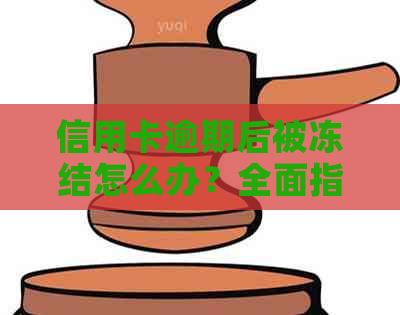 信用卡逾期后被冻结怎么办？全面指南帮助您恢复使用并避免再次逾期