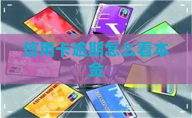 信用卡逾期怎么看本金