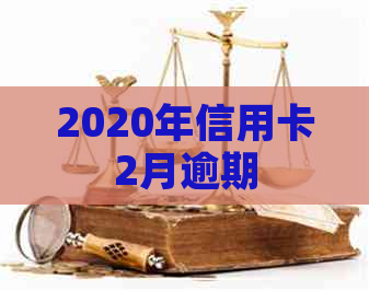 2020年信用卡2月逾期