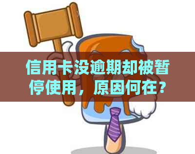 信用卡没逾期却被暂停使用，原因何在？