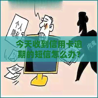 今天收到信用卡逾期的短信怎么办？