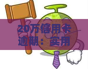 20万信用卡逾期：实用解决方案和应对技巧