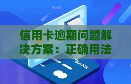 信用卡逾期问题解决方案：正确用法与处理技巧全解析