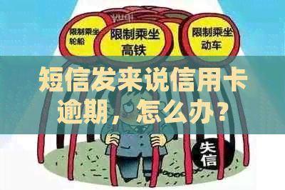 短信发来说信用卡逾期，怎么办？