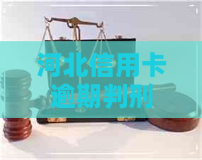 河北信用卡逾期判刑案例