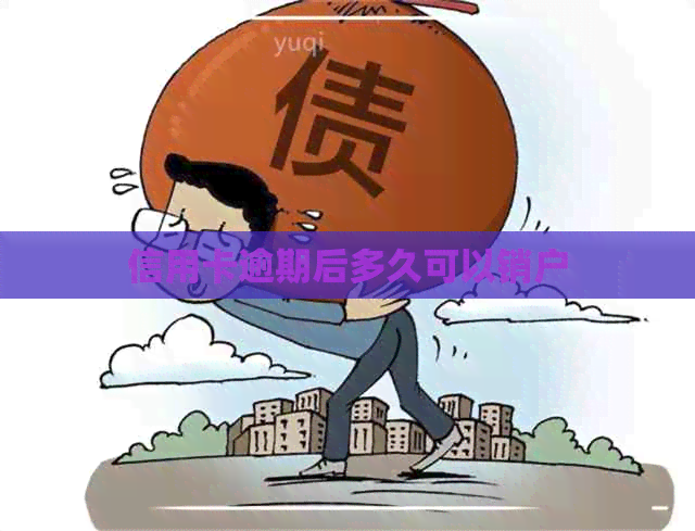 信用卡逾期后多久可以销户