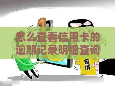 怎么查看信用卡的逾期记录明细查询，如何查信用卡逾期的具体时间？