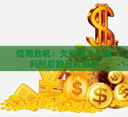 信用危机：欠信用卡人被判刑后的应对策略