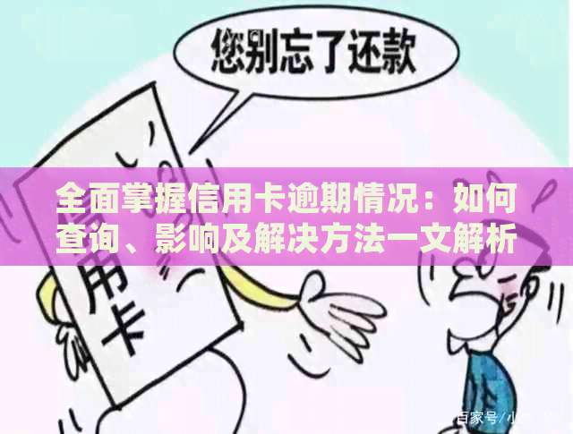 全面掌握信用卡逾期情况：如何查询、影响及解决方法一文解析