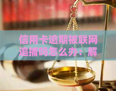 信用卡逾期被联网追捕吗怎么办：解决办法与应对策略