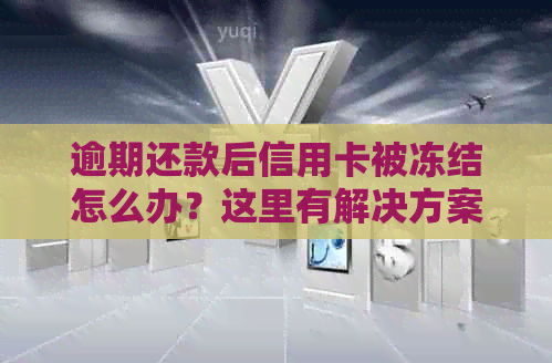 逾期还款后信用卡被冻结怎么办？这里有解决方案！