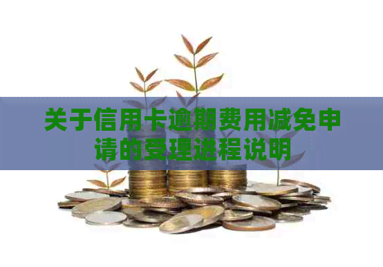 关于信用卡逾期费用减免申请的受理进程说明