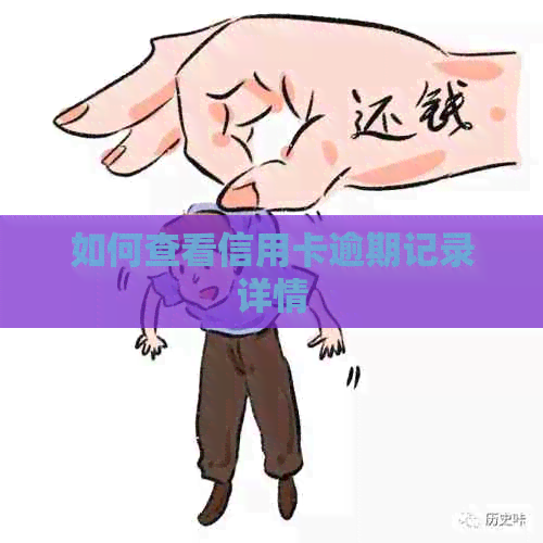 如何查看信用卡逾期记录详情