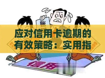 应对信用卡逾期的有效策略：实用指南