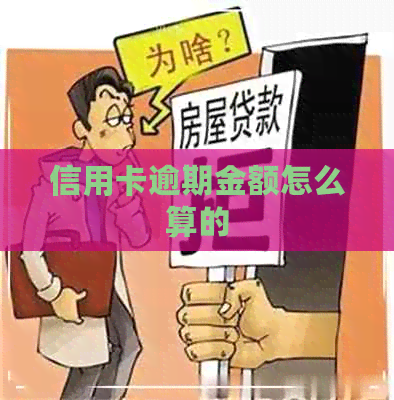 信用卡逾期金额怎么算的