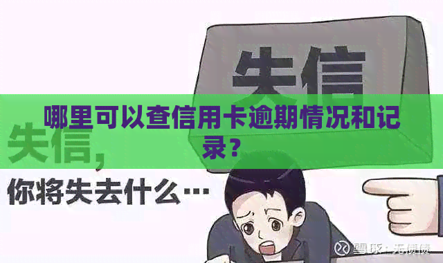 哪里可以查信用卡逾期情况和记录？