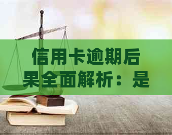 信用卡逾期后果全面解析：是否会触犯法律、公安局介入及如何妥善处理