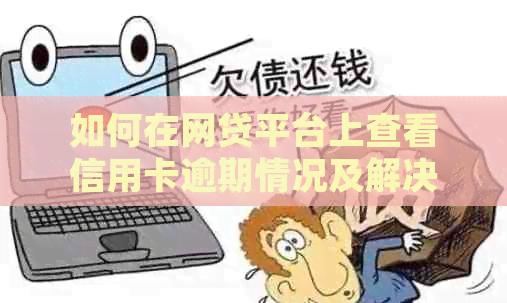 如何在网贷平台上查看信用卡逾期情况及解决方法？