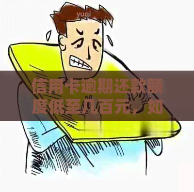 信用卡逾期还款额度低至几百元，如何应对？了解全面解决方案和注意事项！