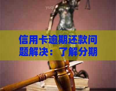 信用卡逾期还款问题解决：了解分期还款的可能性