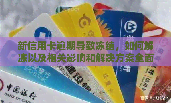 新信用卡逾期导致冻结，如何解冻以及相关影响和解决方案全面解析