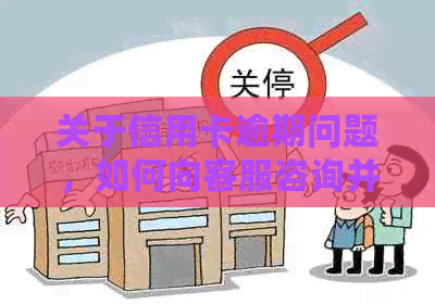 关于信用卡逾期问题，如何向客服咨询并获取帮助？