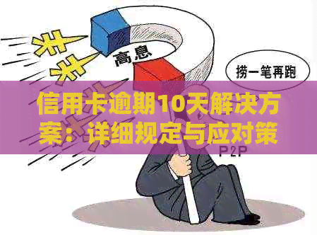 信用卡逾期10天解决方案：详细规定与应对策略