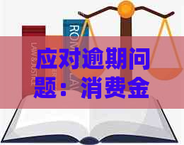 应对逾期问题：消费金融公司的有效策略与实践