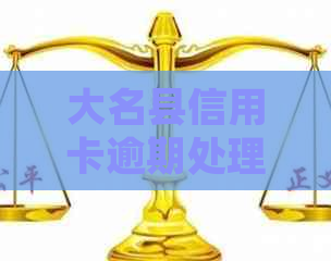 大名县信用卡逾期处理与咨询服务电话指南