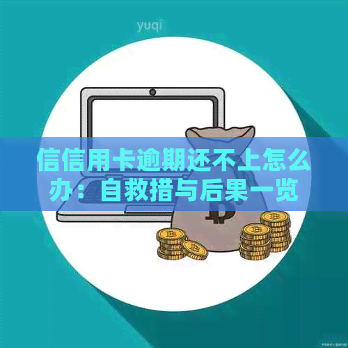 信信用卡逾期还不上怎么办：自救措与后果一览