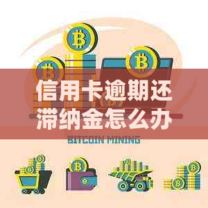 信用卡逾期还滞纳金怎么办？