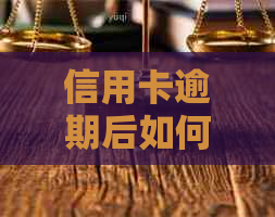 信用卡逾期后如何重建信誉：全面指南及实用建议