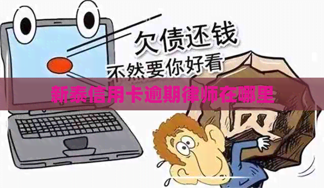 新泰信用卡逾期律师在哪里