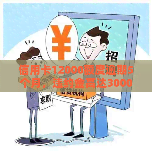 信用卡12000额度逾期5个月，违约金高达3000多元，如何应对和解决？